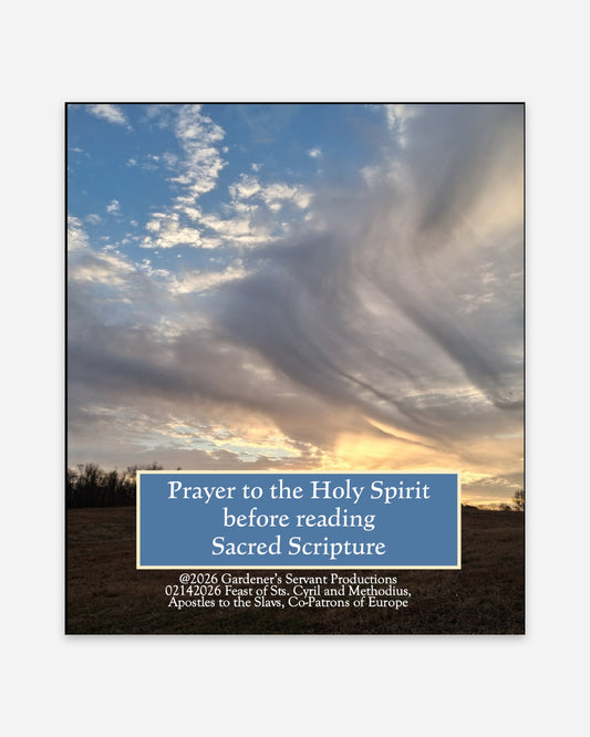 Front of the prayer card: Prayer to the Holy Spirit before reading Sacred Scripture